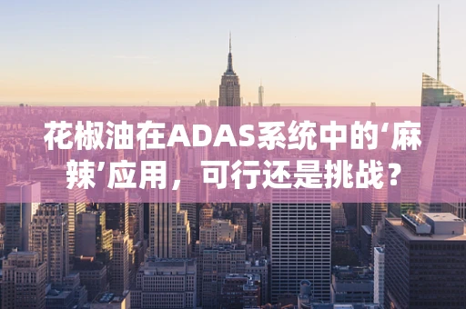 花椒油在ADAS系统中的‘麻辣’应用，可行还是挑战？