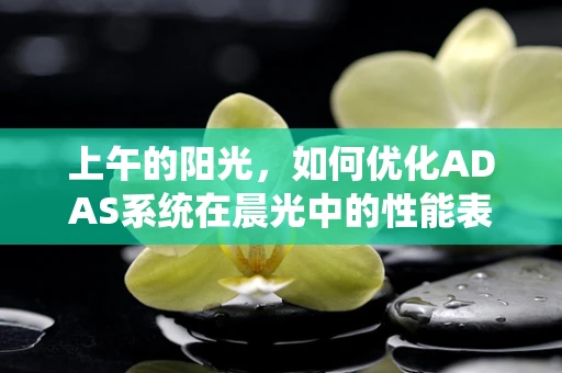 上午的阳光，如何优化ADAS系统在晨光中的性能表现？