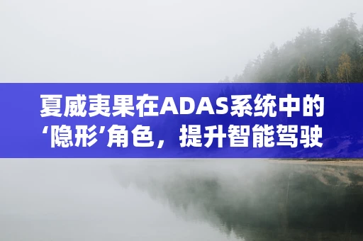 夏威夷果在ADAS系统中的‘隐形’角色，提升智能驾驶的‘味觉’体验？