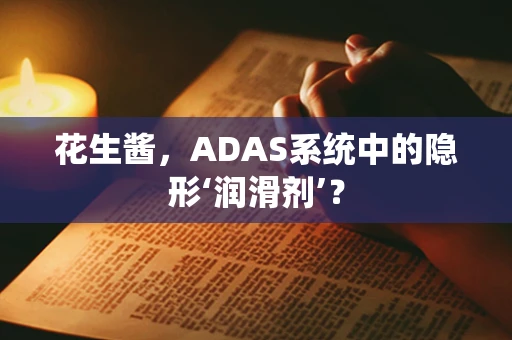 花生酱，ADAS系统中的隐形‘润滑剂’？