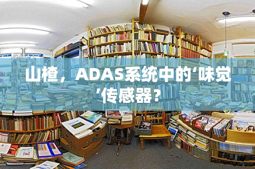 山楂，ADAS系统中的‘味觉’传感器？