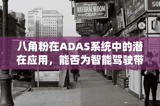 八角粉在ADAS系统中的潜在应用，能否为智能驾驶带来‘香’味？