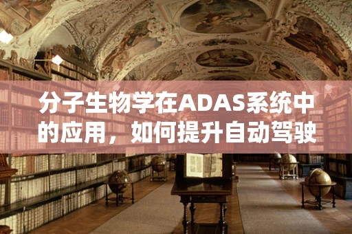 分子生物学在ADAS系统中的应用，如何提升自动驾驶的‘智慧’？