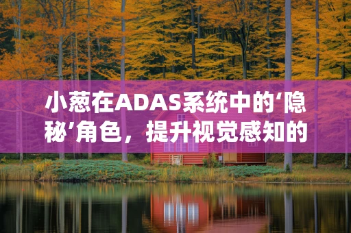小葱在ADAS系统中的‘隐秘’角色，提升视觉感知的微妙助力？