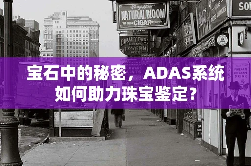 宝石中的秘密，ADAS系统如何助力珠宝鉴定？