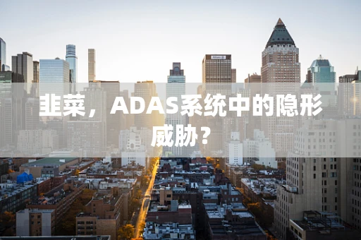 韭菜，ADAS系统中的隐形威胁？