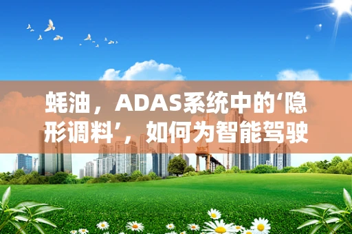 蚝油，ADAS系统中的‘隐形调料’，如何为智能驾驶增鲜？