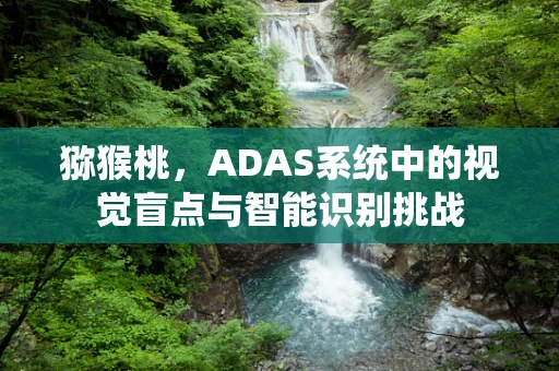 猕猴桃，ADAS系统中的视觉盲点与智能识别挑战