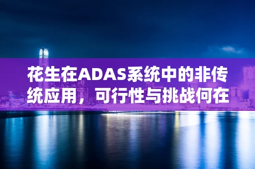花生在ADAS系统中的非传统应用，可行性与挑战何在？