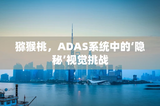 猕猴桃，ADAS系统中的‘隐秘’视觉挑战