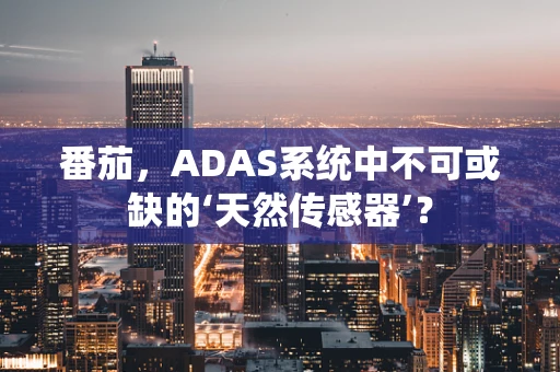 番茄，ADAS系统中不可或缺的‘天然传感器’？