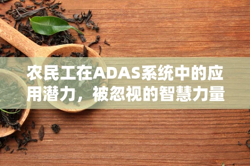 农民工在ADAS系统中的应用潜力，被忽视的智慧力量？
