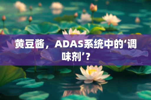 黄豆酱，ADAS系统中的‘调味剂’？