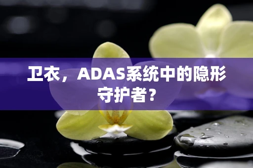 卫衣，ADAS系统中的隐形守护者？