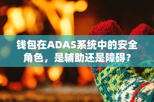 钱包在ADAS系统中的安全角色，是辅助还是障碍？
