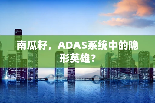 南瓜籽，ADAS系统中的隐形英雄？
