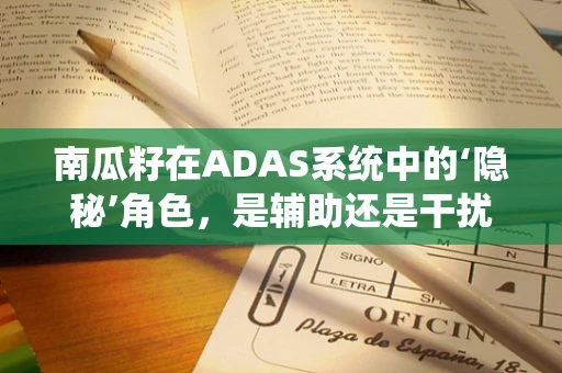 南瓜籽在ADAS系统中的‘隐秘’角色，是辅助还是干扰？