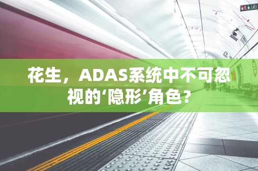 花生，ADAS系统中不可忽视的‘隐形’角色？
