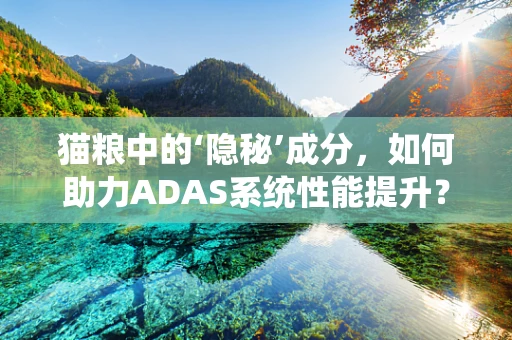 猫粮中的‘隐秘’成分，如何助力ADAS系统性能提升？