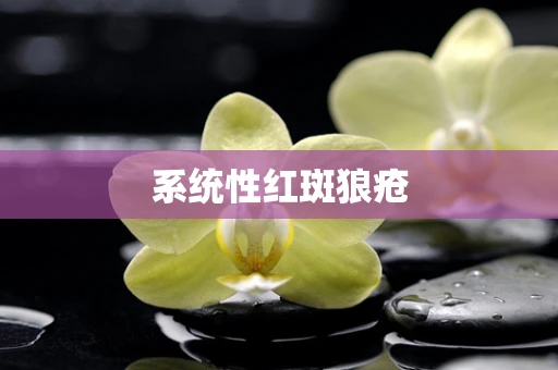 系统性红斑狼疮