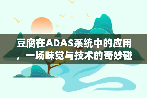 豆腐在ADAS系统中的应用，一场味觉与技术的奇妙碰撞？