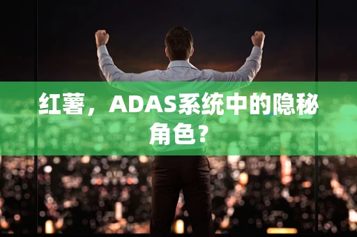 红薯，ADAS系统中的隐秘角色？