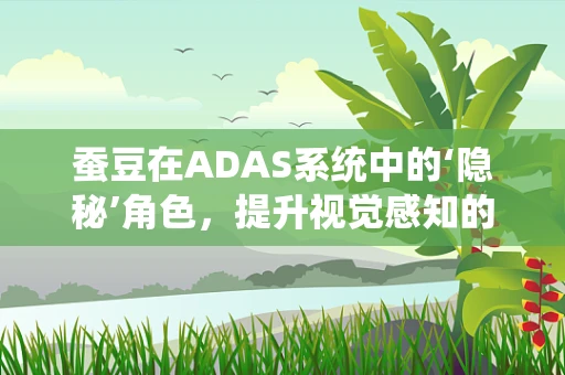 蚕豆在ADAS系统中的‘隐秘’角色，提升视觉感知的意外之选？