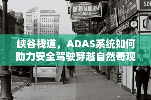 峡谷栈道，ADAS系统如何助力安全驾驶穿越自然奇观？