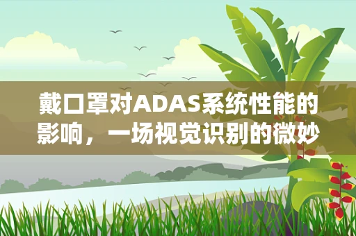 戴口罩对ADAS系统性能的影响，一场视觉识别的微妙挑战