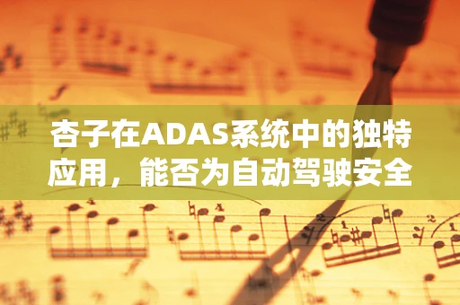 杏子在ADAS系统中的独特应用，能否为自动驾驶安全带来‘甜蜜’的助力？