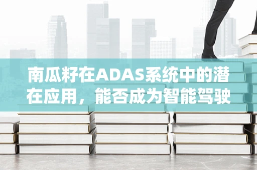 南瓜籽在ADAS系统中的潜在应用，能否成为智能驾驶的‘小秘密’？