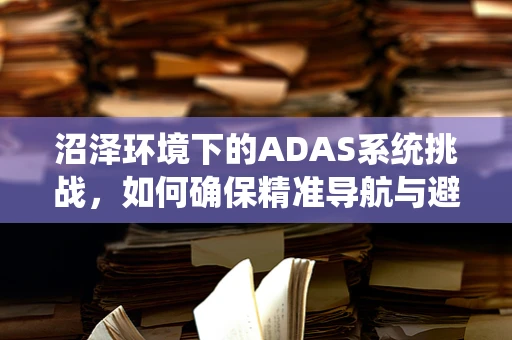 沼泽环境下的ADAS系统挑战，如何确保精准导航与避障？