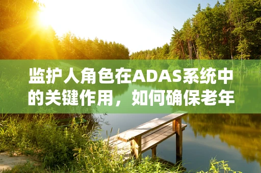 监护人角色在ADAS系统中的关键作用，如何确保老年驾驶者的安全？