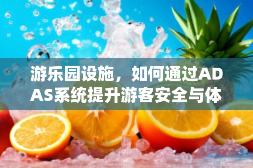 游乐园设施，如何通过ADAS系统提升游客安全与体验？