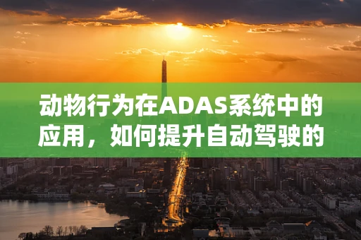 动物行为在ADAS系统中的应用，如何提升自动驾驶的‘动物感知’能力？