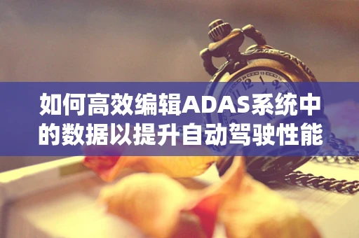 如何高效编辑ADAS系统中的数据以提升自动驾驶性能？