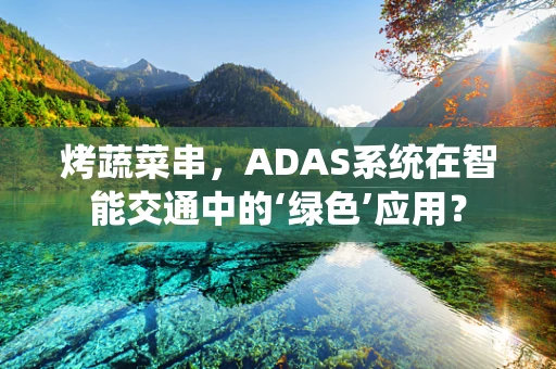 烤蔬菜串，ADAS系统在智能交通中的‘绿色’应用？