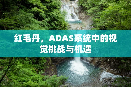 红毛丹，ADAS系统中的视觉挑战与机遇