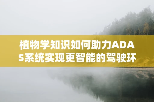 植物学知识如何助力ADAS系统实现更智能的驾驶环境？