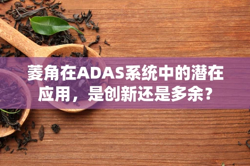 菱角在ADAS系统中的潜在应用，是创新还是多余？