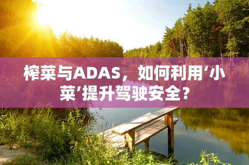榨菜与ADAS，如何利用‘小菜’提升驾驶安全？