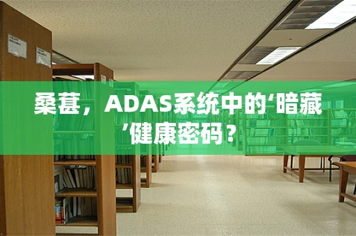 桑葚，ADAS系统中的‘暗藏’健康密码？