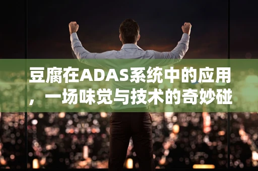 豆腐在ADAS系统中的应用，一场味觉与技术的奇妙碰撞？