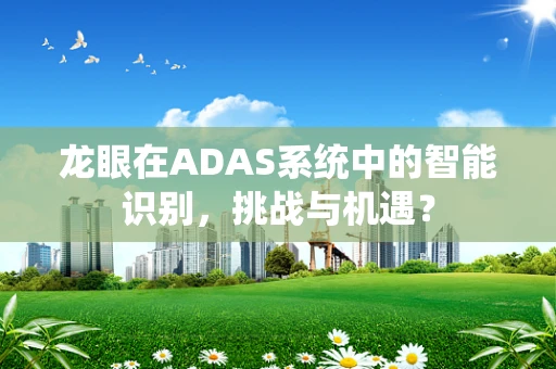 龙眼在ADAS系统中的智能识别，挑战与机遇？