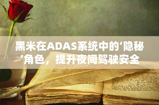黑米在ADAS系统中的‘隐秘’角色，提升夜间驾驶安全的关键？