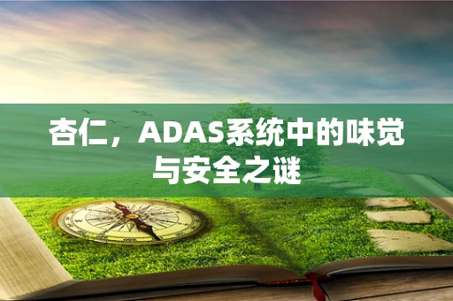 杏仁，ADAS系统中的味觉与安全之谜
