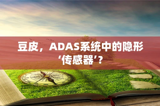 豆皮，ADAS系统中的隐形‘传感器’？