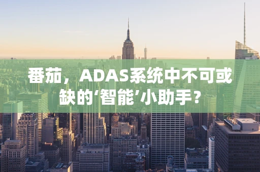 番茄，ADAS系统中不可或缺的‘智能’小助手？