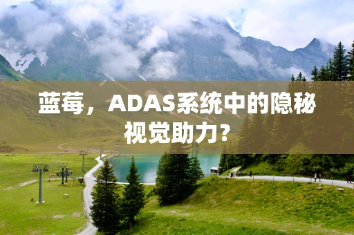 蓝莓，ADAS系统中的隐秘视觉助力？