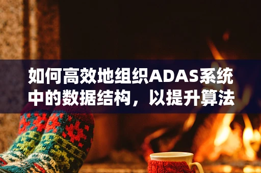 如何高效地组织ADAS系统中的数据结构，以提升算法性能？